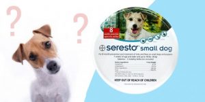 CVC-FAQs-Regarding-Seresto