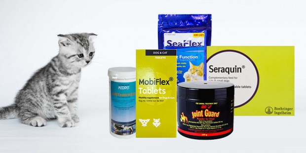 top 5 joint care treatment for dogs and cats