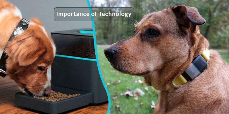 Importance of Technology in pet's Life - National Technology Day 2020