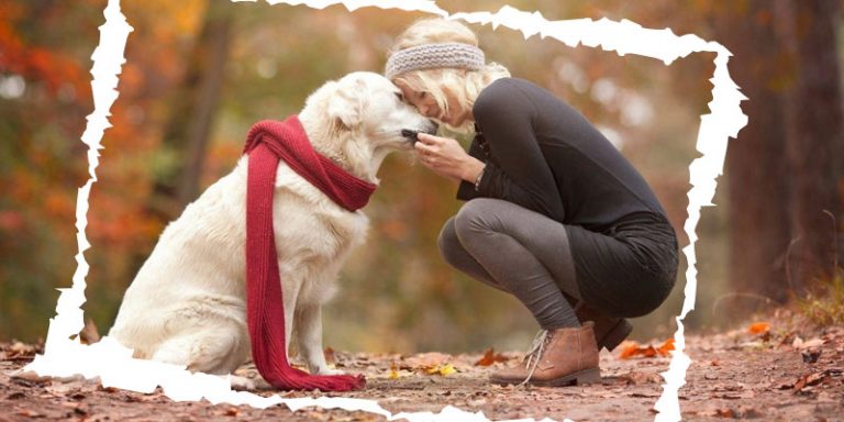How Does Revolution Works for Dogs & Cats?