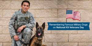 Remembering Famous Military Dogs on National K9 Veterans Day