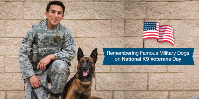 Remembering Famous Military Dogs on National K9 Veterans Day