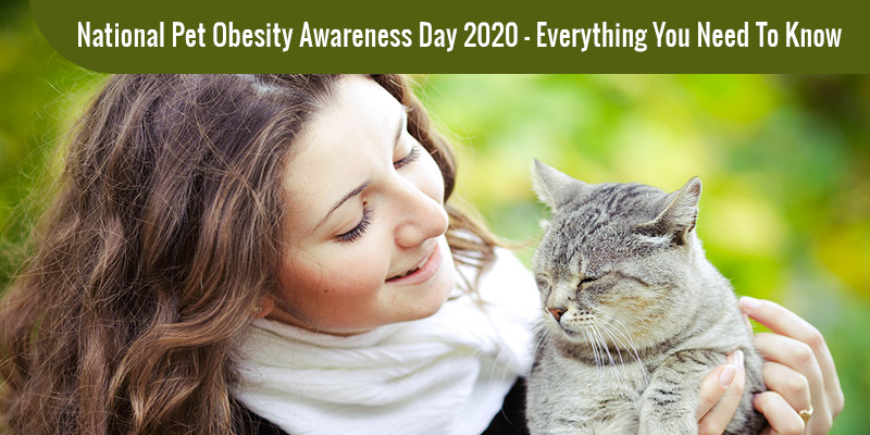 National Pet Obesity Awareness Day 2020 – Everything You Need to Know