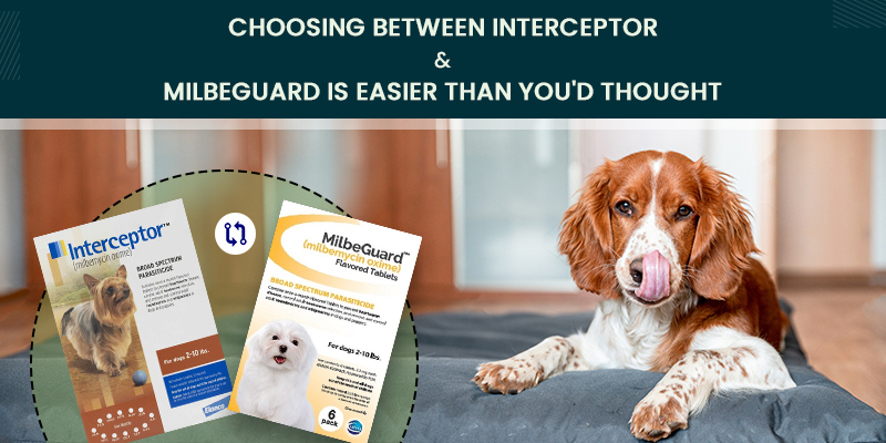 Choosing Between Interceptor and MilbeGuard is Easier Than You’d Thought