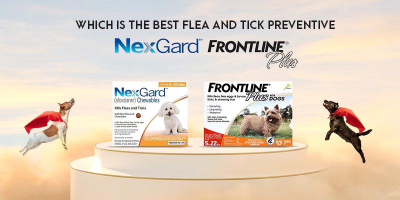 Which is the Best Flea and Tick Preventive – NexGard or Frontline Plus?