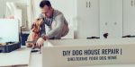 DIY Dog House Repair: Sheltering Your Dog Home