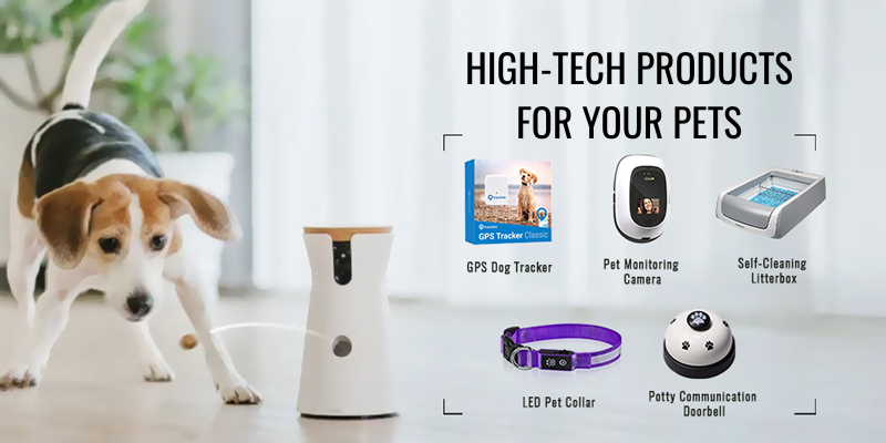 High-tech Products for your Pets in 2022: The Best Pet Gadgets