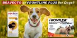 Bravecto or Frontline Plus: Which is the Ideal One for My Dog?