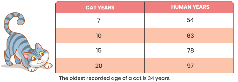 Compare the cat ages with human ages