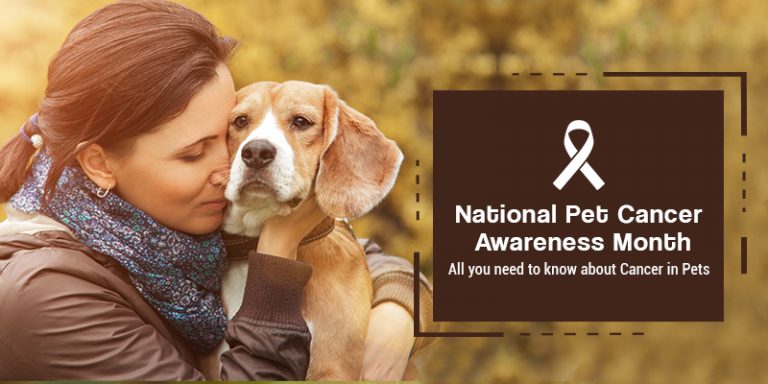 Cancer in Pets