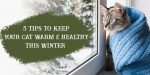 5 Tips to Keep Your Cat Warm & Healthy This Winter