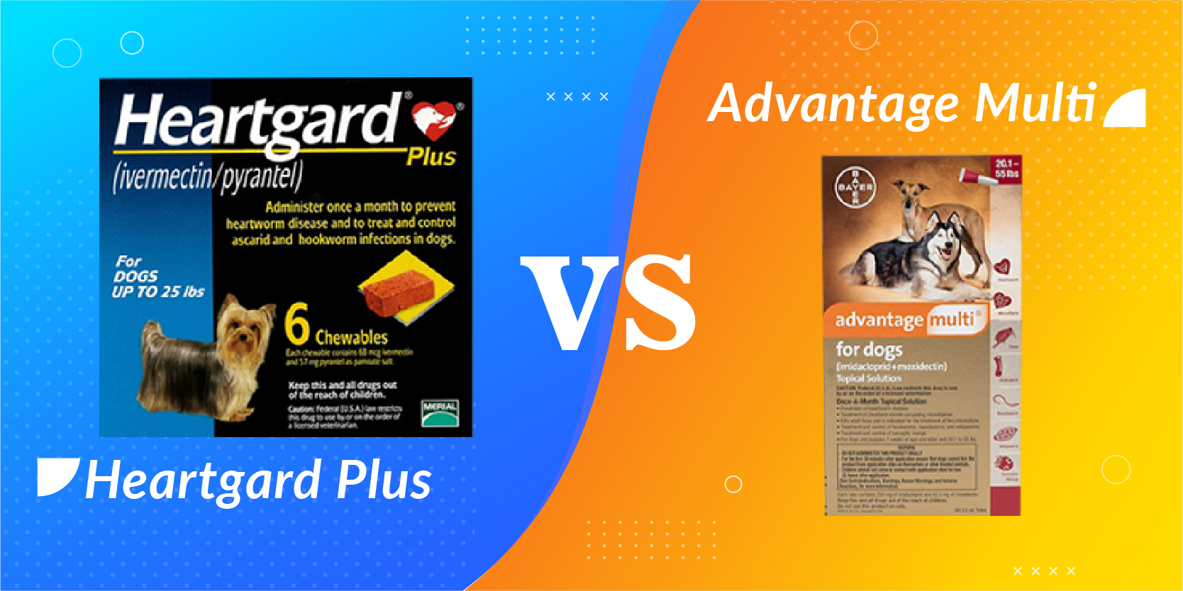 Heartgard Plus vs Advantage Multi