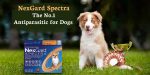 NexGard Spectra – The No.1 Antiparasitic for Dogs