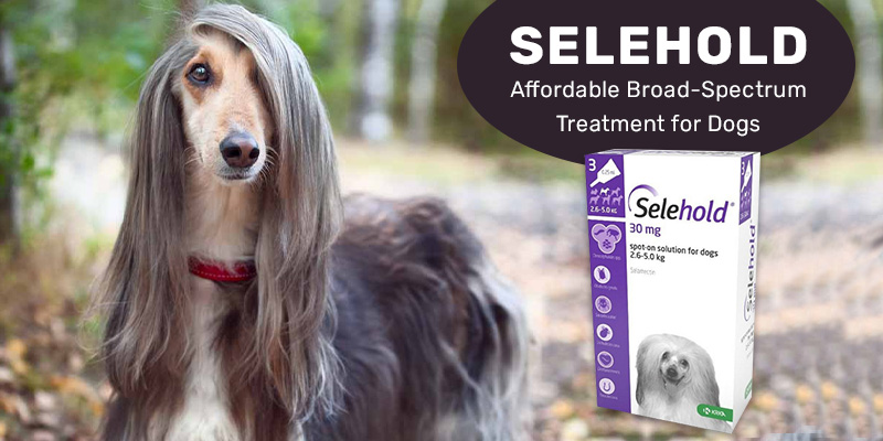 Selehold: Affordable Broad-Spectrum Treatment for Dogs