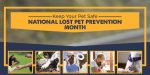 Keep Your Pet Safe – National Lost Pet Prevention Month