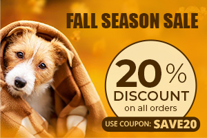 fall season sale