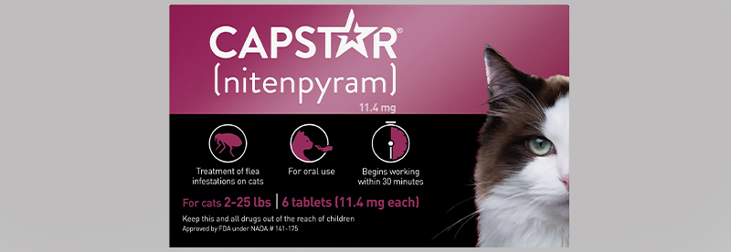 Capstar chew for Cats