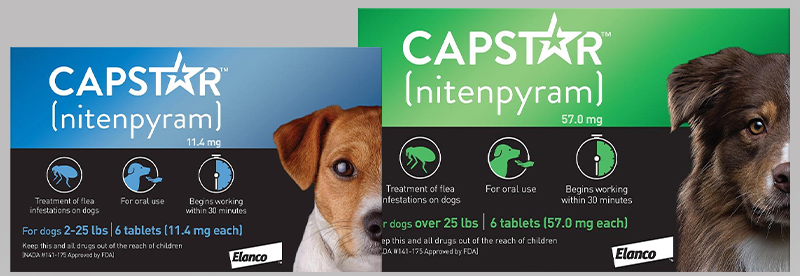 CVC Blog Capstar for dogs