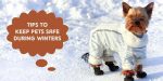 11 Tips to Keep Pets Safe During Winters