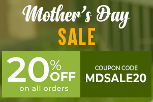 Cvc Mother's Day Special Sale 20% Off