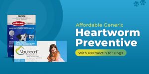 CVC-Blog-generic-heartworm-preventive
