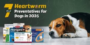 canadavetcare-Blog-7-Best-Heartworms-for-dogs