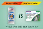 Bravecto Plus for Cats vs Nexgard Combo for Cats