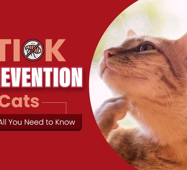 Tick-Protection-for-Cats