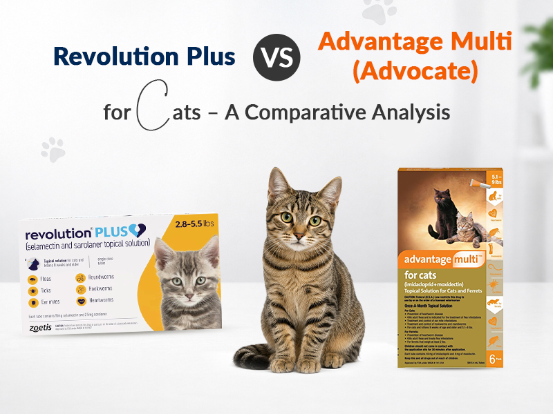 Revolution Plus vs. Advantage Multi (Advocate) for Cats – A Comparative Analysis