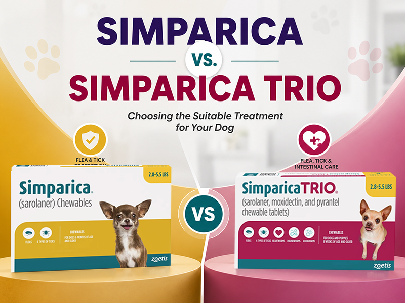 Simparica vs. Simparica Trio– Choosing the Suitable Treatment for Your Dog
