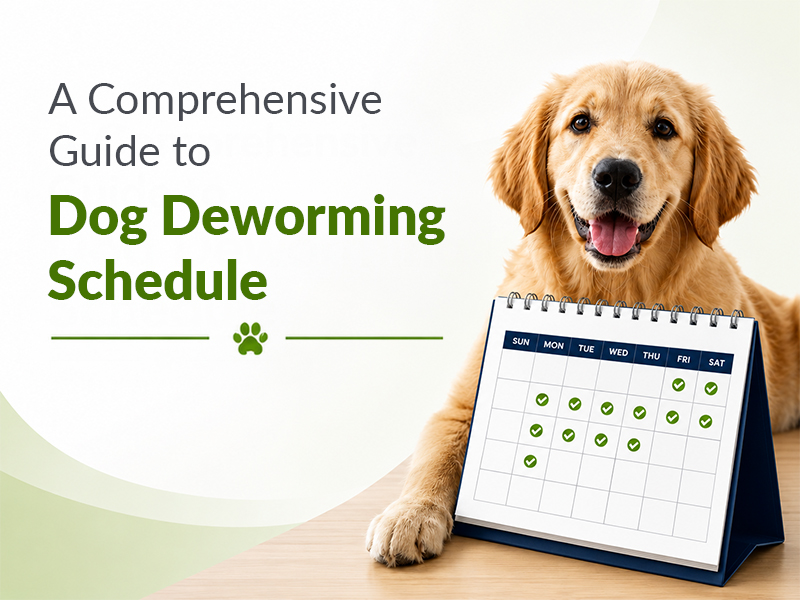 A Comprehensive Guide to Dog Deworming Schedule