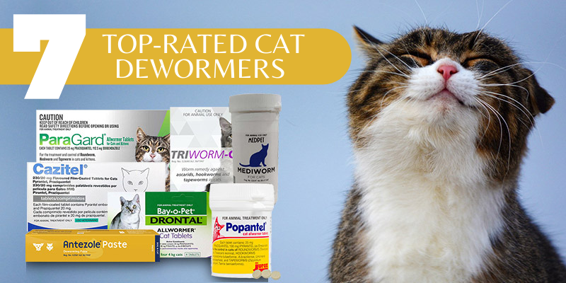 Top-Rated Cat Dewormers of 2021