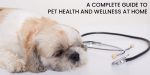 A Complete Guide to Pet Health and Wellness at Home