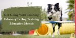 Get Going With Training: February Is Dog Training Education Month
