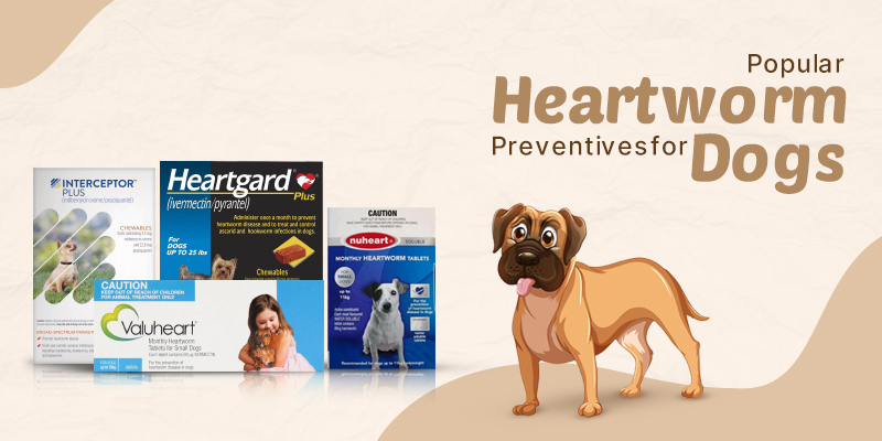 Popular Heartworm Preventives for Dogs