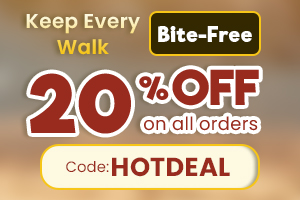 Summer Sale